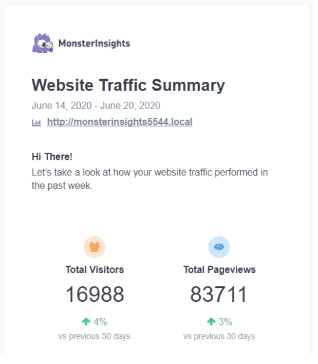 Monsterinsights website traffic features