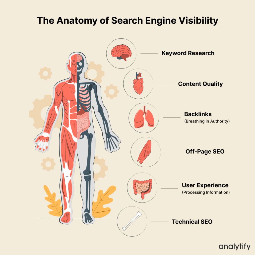 Anatomy Search Engine Visibility